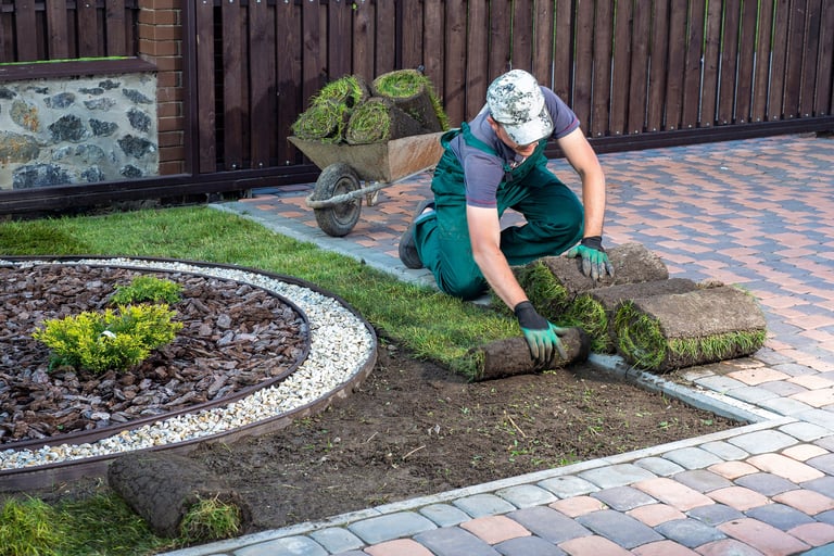 Landscape Gardener Laying Turf For New Lawn
